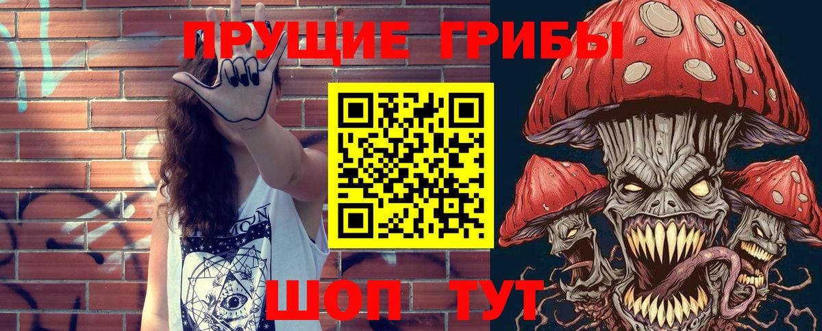 Псилоцибиновые грибы Psilocybe Истра