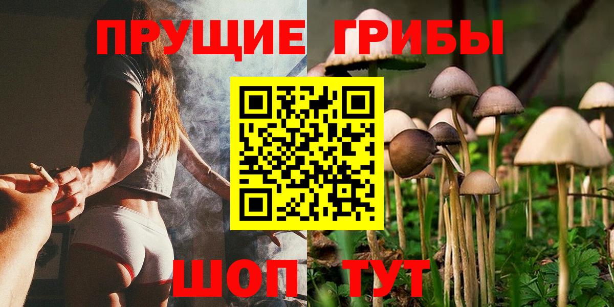 Псилоцибиновые грибы Psilocybe  Вход с VPN  Истра  Псилоцибиновые грибы MAGIC MUSHROOMS 